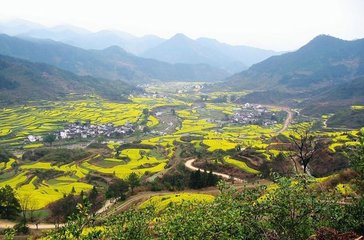 河南.jpg